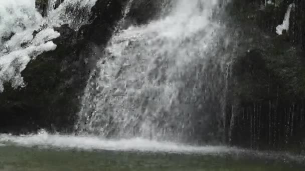 Een Waterval Een Besneeuwd Bos Met Besneeuwde Omgeving — Stockvideo