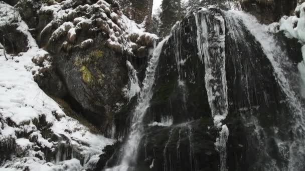 Wodospad Śnieżnym Lesie Pokrywającym Śnieg Otoczeniem — Wideo stockowe