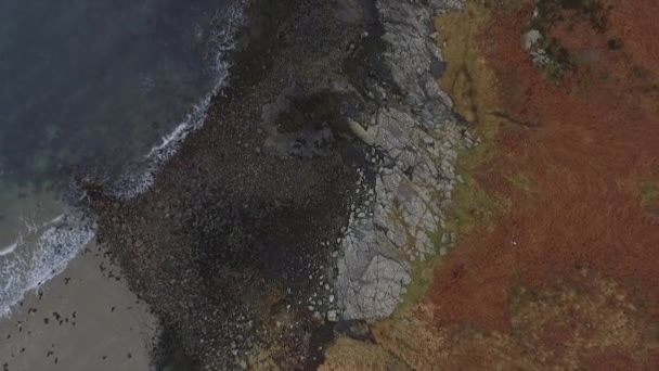 Letecké Záběry Skotského Západního Pobřeží Poblíž Obanu Velká Británie — Stock video