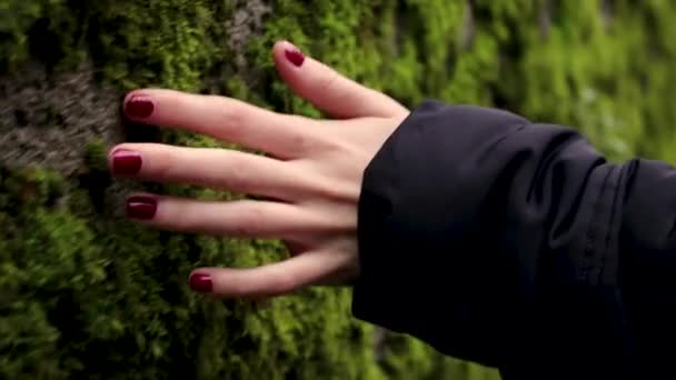 Vrouwen Hand Zachtjes Aanraken Mos Muur — Stockvideo