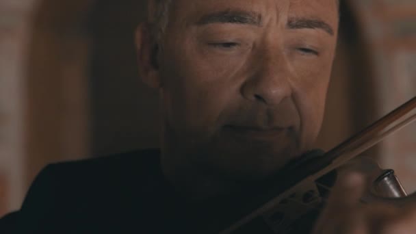 Πολύ Κοντινό Πλάνο Ενός Άνδρα Βιολιστή Παίζει Βιολί Κουαρτέτο Εγχόρδων — Αρχείο Βίντεο