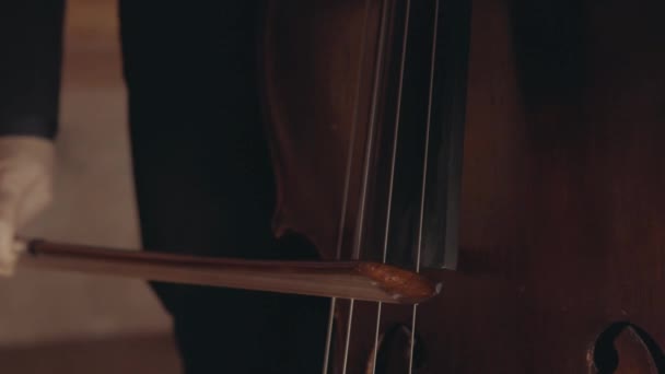 男子大提琴手在大提琴上用弓箭近距离射击 — 图库视频影像
