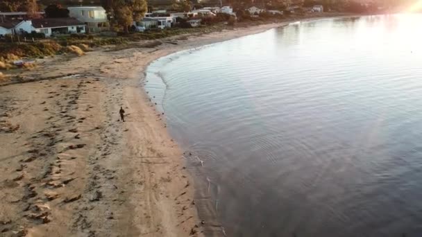 塔斯马尼亚海滩上跑步者慢跑时的无人机图像 — 图库视频影像