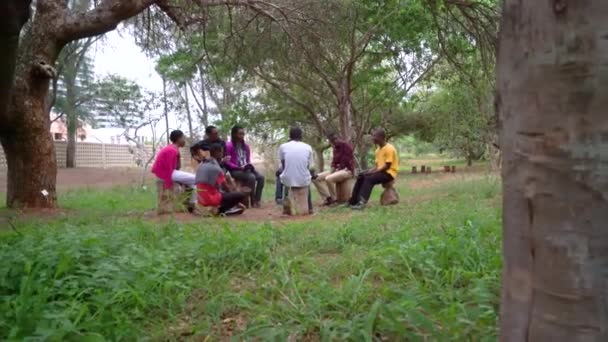 Afričtí Vysokoškoláci Sedí Pod Stromem Zpívají Studují — Stock video