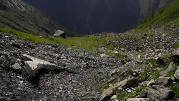 これはドイツのベルリンの近くの山のビデオです 難しい岩道だ — ストック動画