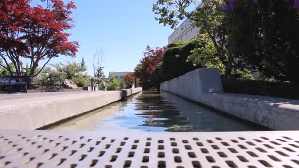 Städtischer Wasserpark Mit Sich Langsam Bewegenden Wasserbäumen Und Blauem Himmel — Stockvideo