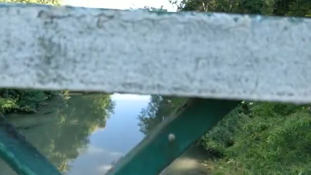 Wandelen Brug — Stockvideo