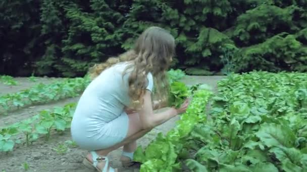 Roztomilá Dívka Zahradě Zeleninou — Stock video