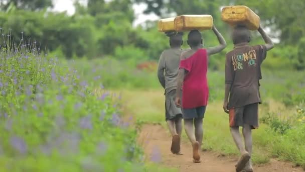 Kinderen Lopen Elke Dag Kilometers Voor Het Water Van Hun — Stockvideo