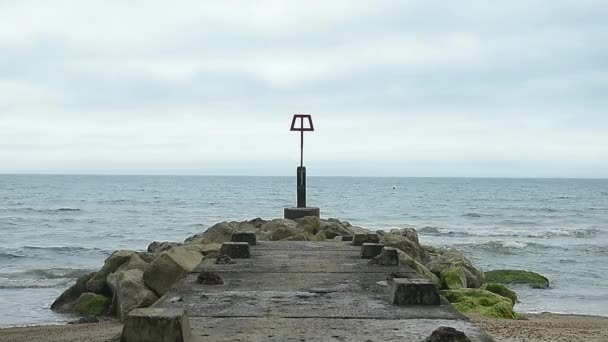 Bel Colpo Groyne Pietra Con Rocce Ricoperte Muschio Verde Chiudete — Video Stock