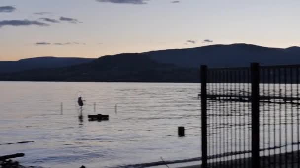 サンセットの静かな湖ビーチフロントのパンニングショット — ストック動画