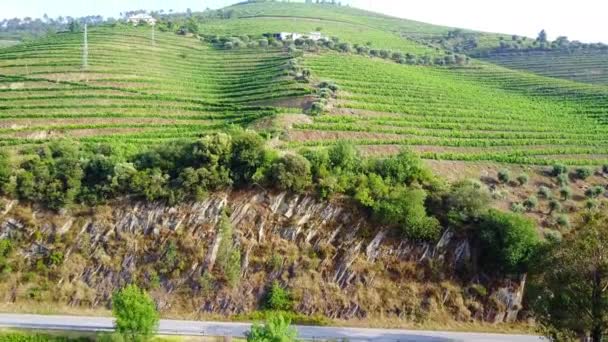 Widok Lotu Ptaka Portugalski Region Winiarski Duoro Valley — Wideo stockowe