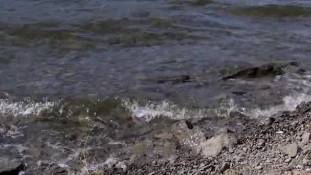 Spruzzi Acqua Sulla Spiaggia Rocciosa — Video Stock