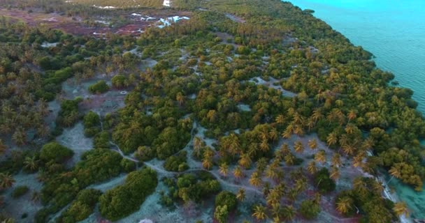 Clipe Aéreo Ilha Máfia Zanzibar Close Sua Vegetação Resort — Vídeo de Stock