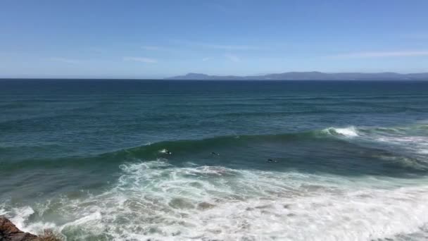 波の上でワイプアウトを取得するサーファー — ストック動画