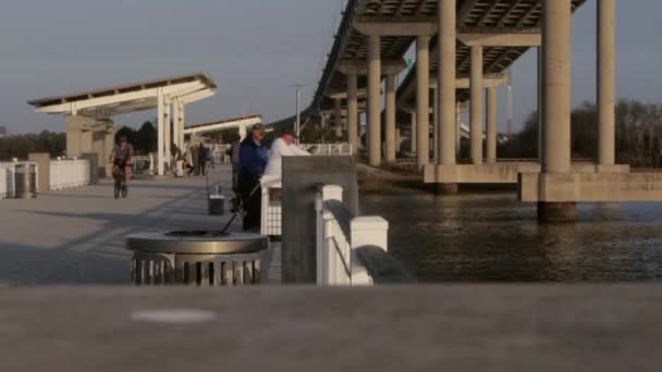 Charleston Daki Bir Rıhtımda Balık Tutuyorlar — Stok video