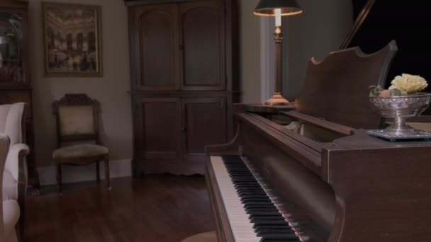 Footage Beautiful Piano — Stock Video