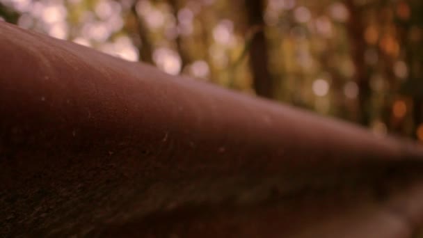 Rostige Schienen Eine Filmische Nahaufnahme Einer Schiene Entlang Einer Straße — Stockvideo