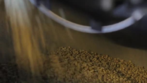 Unroasted Arabica Coffee Beans Being Roasted — Stock Video