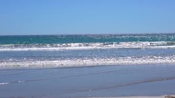 Willunga Spiaggia Adelaide Onde — Video Stock