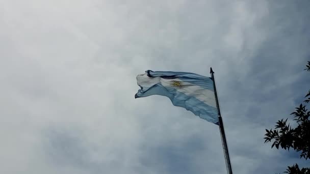 Argentina Bandiera Sventolando Palmare — Video Stock