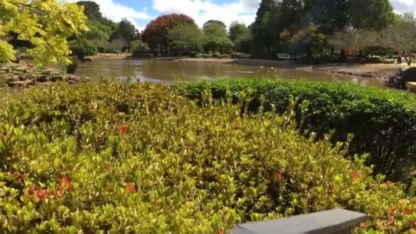 Inclinación Reveal Jardín Japonés Lago — Vídeos de Stock