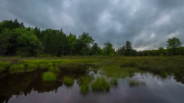 Timelapse Van Grijze Humeurige Wolken Bewegen Een Moeras — Stockvideo