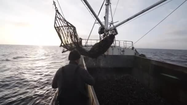 Αλιευτικό Σκάφος Φέρει Μύδια Επάνω Από Δίχτυ — Αρχείο Βίντεο