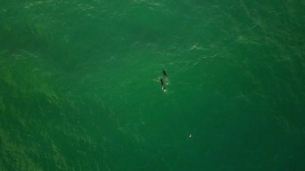 Звільнених Моряків Плавають Поодинці Згори Вниз — стокове відео