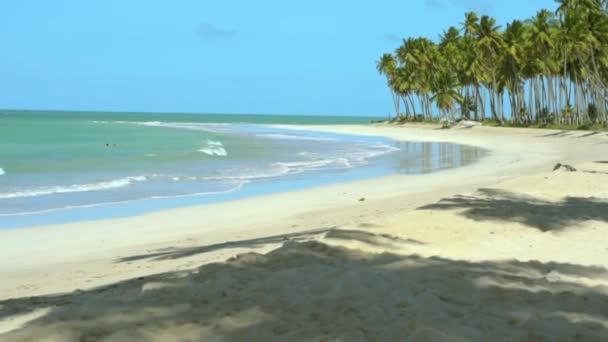 Sunny Paradice Beach Con Olas — Vídeos de Stock