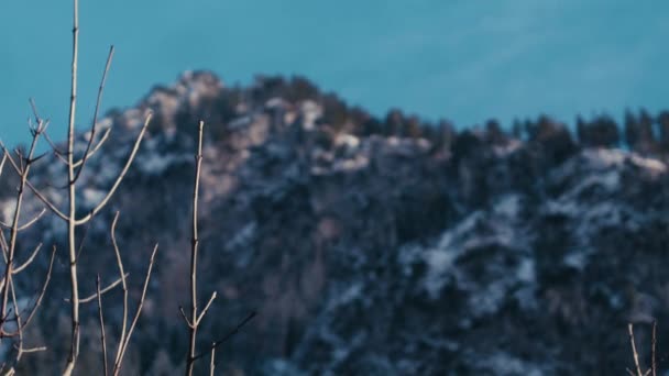Повільне Піднімання Вершини Невеликої Гори Альпах Зміна Фокусу Дереві — стокове відео
