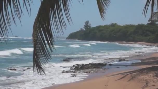 Mar Playa Olas — Vídeos de Stock