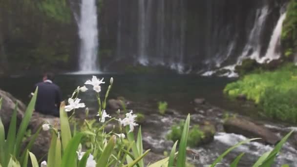 Cachoeiras Perto Monte Fuji — Vídeo de Stock