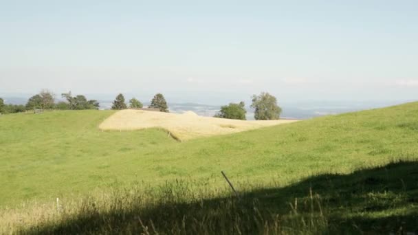 Schwenk Der Malerischen Grasbewachsenen Hanglandschaft Orvin Schweiz Vordergrund Schatten — Stockvideo