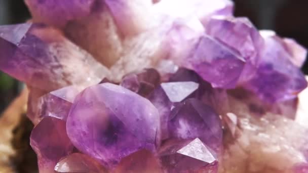 Preciosas Piedras Púrpuras Blancas — Vídeo de stock