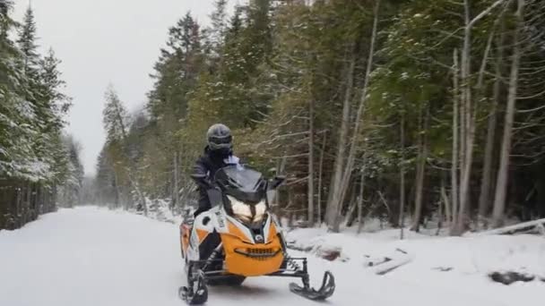 Езда Снегоходе Лесу Зимой — стоковое видео