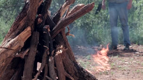 男は茂みの中で火事を起こした 立ってそれを見つめ — ストック動画