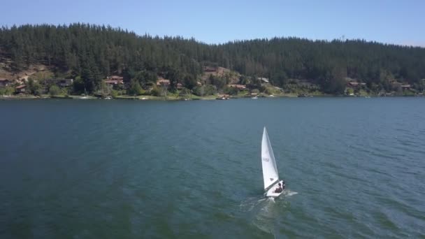Filmagem Aérea Seguindo Duas Crianças Navegando Lago — Vídeo de Stock