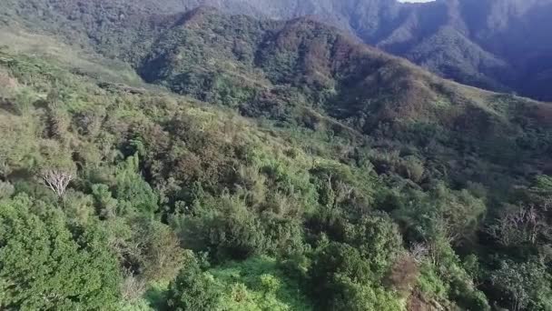 Oblast Džungle Wae Rebo Letecký Snímek Panning — Stock video