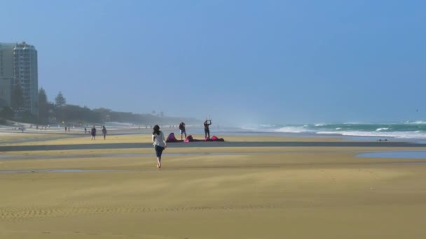 Kite Surfistas Nas Praias Surfers Paradise Queensland — Vídeo de Stock