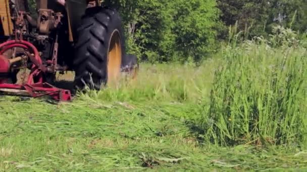 Cięcie Trawy Zbliżeniem Ciągnika — Wideo stockowe