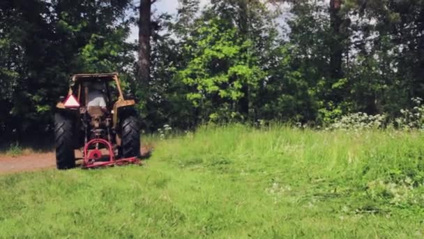 Corte Césped Con Tractor — Vídeo de stock