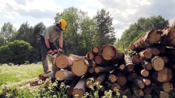 Ein Mann Sägt Holz Mit Der Kettensäge — Stockvideo