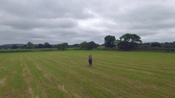 Man Walking Alone Country Field Metal Detector Wearing Headphones Looking — Stock Video