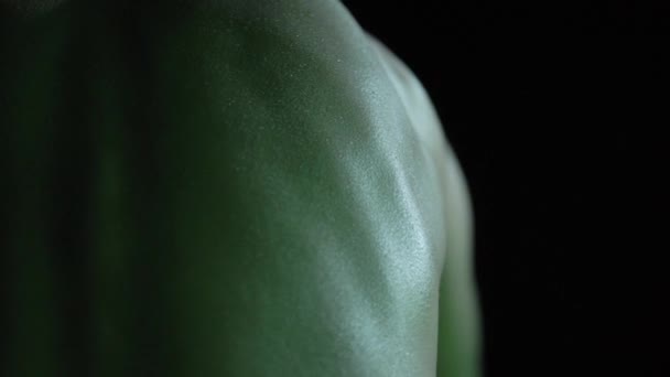 Nahaufnahme Bewegter Muskeln Auf Dem Rücken Einer Person Licht Grünen — Stockvideo