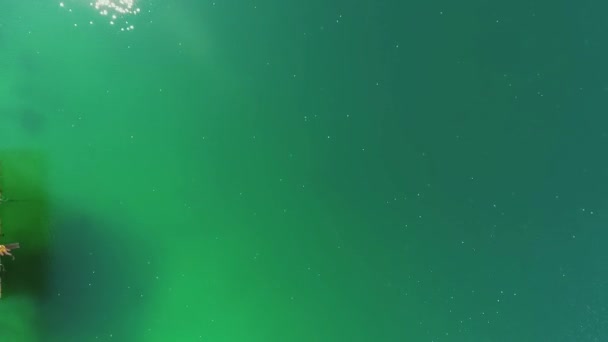 Плавання Медузному Озері Повітряний Постріл Око Птахів — стокове відео
