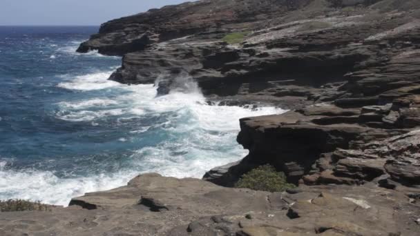 Onde Oceaniche Che Infrangono Scogliere Epiche Alle Hawaii — Video Stock