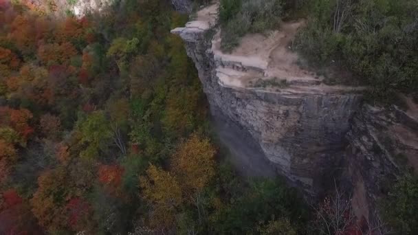 秋にはオレンジと赤の葉や木々に囲まれた崖のピークを明らかにする空中ドローンショット — ストック動画