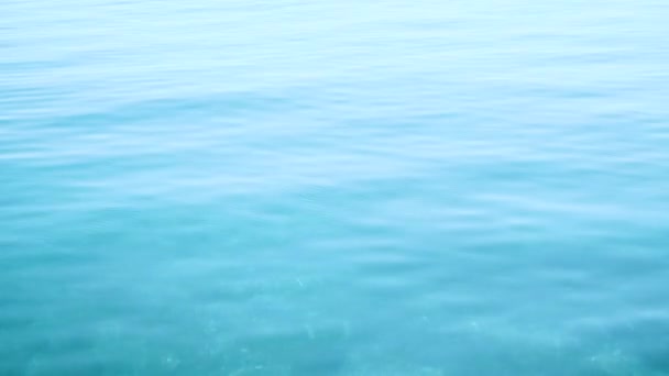 Кліп Синьої Спокійної Води Хвиль — стокове відео