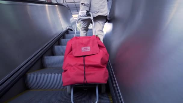 Una Anciana Con Una Bolsa Subiendo Por Una Escalera Mecánica — Vídeo de stock